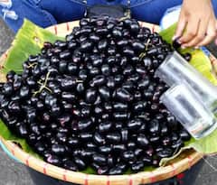 ਇਹ ਫਲ ਸਿਹਤ ਖਜ਼ਾਨਾ, ਖੂਨ ਦੀ ਸਫਾਈ ਕਰਨ ਤੋਂ ਲੈ ਕੇ ਸ਼ੂਗਰ ਹੁੰਦੀ ਦੂਰ