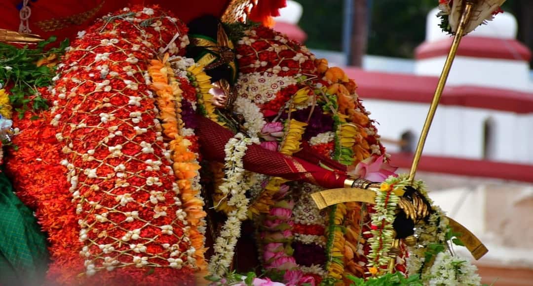 மதுரை மாநகருக்குள்  கண்டாங்கி பட்டுடுத்தி தங்கப் பல்லக்கில் வலம் வரும் கள்ளழகர் !