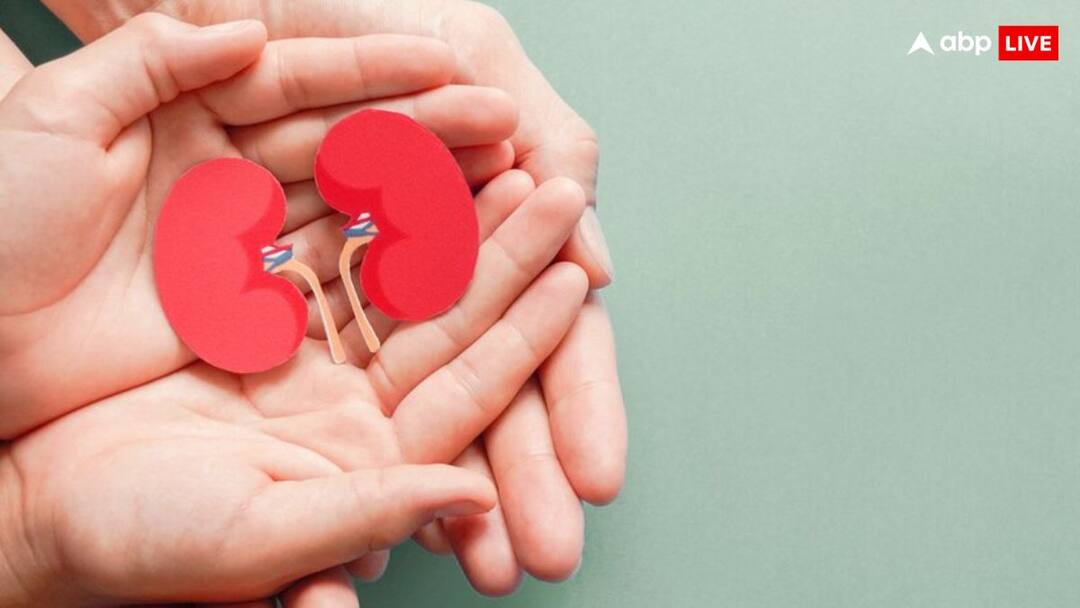 health tips kidney transplant or dialysis know when what is best option किडनी ट्रांसप्लांट या डायलिसिस, डॉक्टर से समझिए कब पड़ती है किसकी जरूरत?