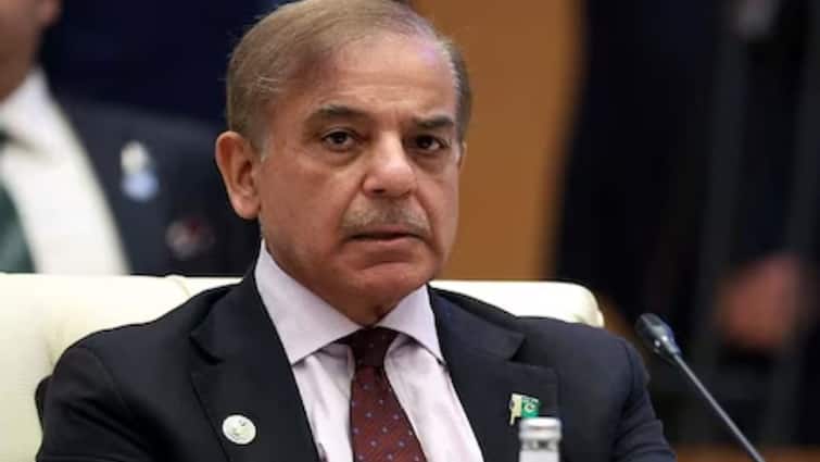 Ready To Engage In Peace Talks With India: Pakistan PM Shehbaz Sharif