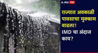 Maharashtra Weather Update: राज्यात अवकाळी पावसाचे ढग कायम; पुढील चार दिवस तीव्र सतर्कतेचा इशारा, 'या' जिल्ह्यांना यलो अलर्ट, IMD चा अंदाज काय?