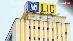 LIC :  एलआयसीनं कोणत्या पाच स्टॉकमध्ये गुंतवणूक वाढवली? अपडेट समोर, देशातील सर्वात मोठ्या बँकेचा समावेश