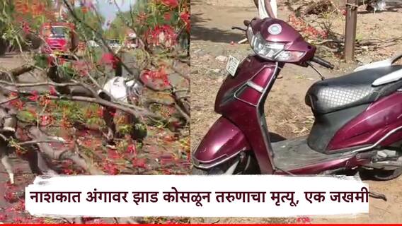 कंपनीत जाण्यासाठी मित्रासोबत घरातून निघाला, वाटेत अवकाळी पावसातून काळ आला; अंगावर झाड कोसळून तरुणाचा मृत्यू, 1 गंभीर
