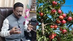 'तुर्की के सेब आयात पर लगे बैन' कांग्रेस ने आखिर क्यों उठाई ये मांग?