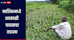 अवकाळी पावसानं अक्षरक्ष: झोडपलं! एकट्या नाशकातल्या 600 गावतील 14 हजार शेतकऱ्यांना फटका; राज्याला वळीवाच्या पावसाचा इशारा