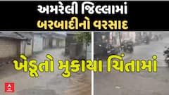 Amreli Unseasonal Rain: અમરેલી જિલ્લામાં બરબાદીનો વરસાદ, ખેડૂતો મુકાયા ચિંતામાં