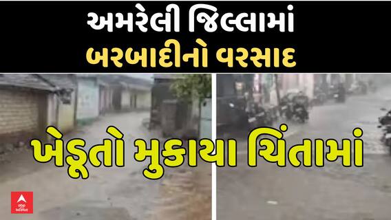 Amreli Unseasonal Rain: અમરેલી જિલ્લામાં બરબાદીનો વરસાદ, ખેડૂતો મુકાયા ચિંતામાં