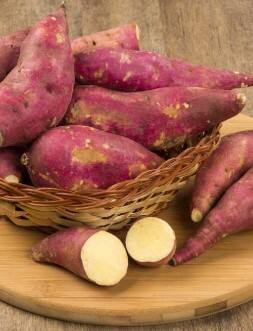 ડાયાબિટીસના દર્દીઓ માટે વરદાન! શક્કરિયા ખાવાના આ છે 6 ફાયદા