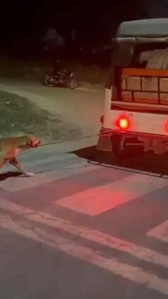 ऑटो से बांधकर कुत्ते को घसीटा, कमजोर दिलवाले न देखें