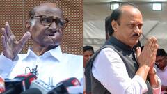 महाराष्ट्र में फिर एकसाथ आएंगे शरद पवार और अजीत पवार! CM देवेंद्र फडणवीस भी रहेंगे मौजूद