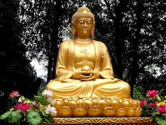 Buddha Purnima 2025: બુદ્ધ પૂર્ણિમા પર  આ 6 કામ કરવાની ભૂલ ન કરો, નહિ તો લક્ષ્મી જતી રહેશે