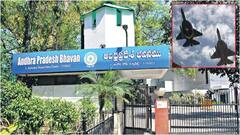 భారత్, పాక్ సరిహద్దు రాష్ట్రాల్లో చిక్కుకున్న ఏపీ వారికి హెల్ప్ లైన్ నెంబర్స్ ఇవే