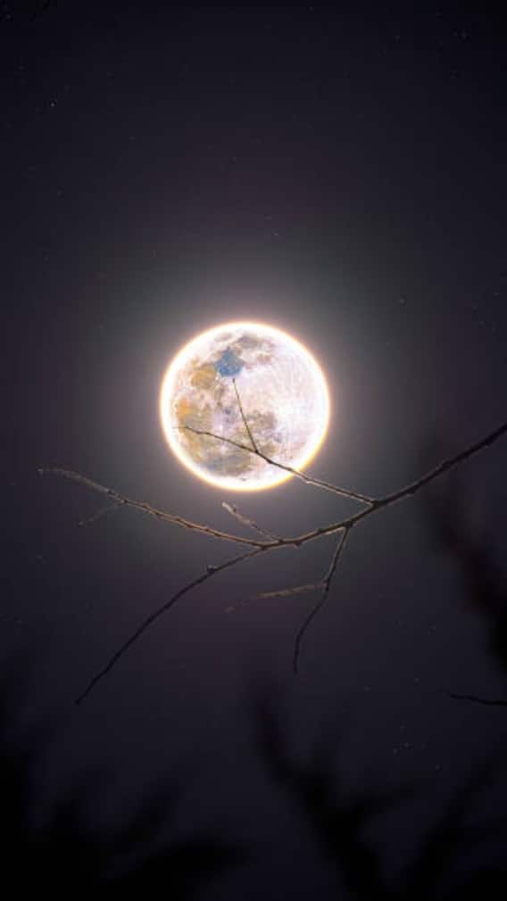 12 मई 2025 को क्या है ?