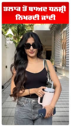 ਤਲਾਕ ਤੋਂ ਬਾਅਦ ਧਨਸ਼੍ਰੀ ਨਿਖਰਦੀ ਜਾਂਦੀ