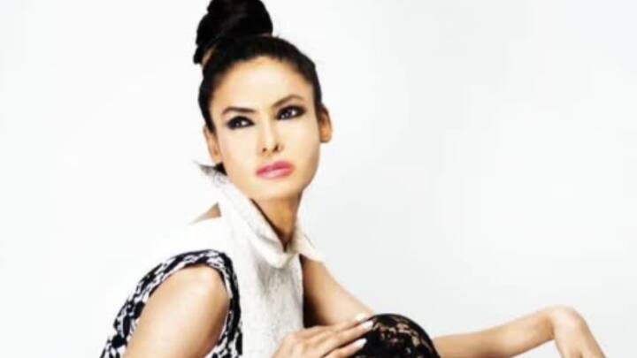 কর্নেল সোফিয়াকে টিভিতে দেখে শায়নার বক্তব্য, “মনে হল ঝাঁসির রানি আবার যেন জন্ম নিয়েছেন।”