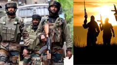 भारतीय सैन्यदलाने काश्मीरमध्ये 3 दहशतवाद्यांना कंठस्नान घातलं, शोपियानच्या जंगलात सर्च ऑपरेशन