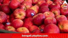 পাকিস্তানকে 'সমর্থন', তুরস্কের আপেলকে বয়কটের সিদ্ধান্ত পুনের ব্যবসায়ীদের, 'ভয়াবহ ভূমিকম্পের সময় পাশে ছিল ভারত, সব ভুলে গেল..' !