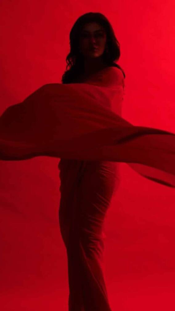 दिग्गज एक्टर पर सुष्मिता सेन ने लगाया था गलत तरीके से छूने का आरोप