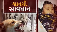 Ahmedabad Dog Attack News: અમદાવાદમાં પાલતું શ્વાને કાળો કેર વર્તાવ્યો,  4 મહિનાની બાળકીનું મોત