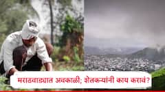 मराठवाड्यात वादळी वारा, मेघगर्जनेसह अवकाळी पावसाचा अंदाज, फळबागांसह पिकासाठी शेतकऱ्यांनी काय करावे?