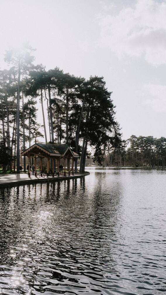 महाराष्ट्रावर अतिमुसळदार पावसाचं सावट 'या' 18 जिल्हांना हाय अलर्ट!