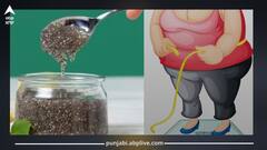 Belly Fat: ਪੇਟ ਦੀ ਚਰਬੀ ਨੂੰ ਤੇਜ਼ੀ ਨਾਲ ਘਟਾਏ ਚੀਆ ਸੀਡਜ਼ ਦਾ ਪਾਣੀ, ਪੀਂਦੇ ਹੀ ਦਿਖਣ ਲੱਗੇਗਾ ਫਰਕ