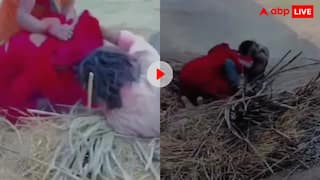 कुंडली मिलाने वाला पंडित फरार है! कुत्ते की तरह एक दूसरे को कूटते दिखे पति पत्नी, यूजर्स ने लिए मजे