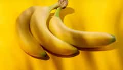 ਪੇਟ ਦਾ ਖਿਆਲ ਰੱਖਣ ਲਈ ਖਾਓ ਆਹ ਫਲ, ਸਰੀਰ ਹਮੇਸ਼ਾ ਰਹੇਗਾ ਫ੍ਰੈਸ਼