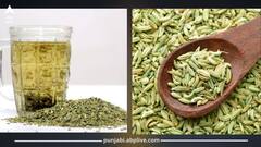 ਗਰਮੀਆਂ 'ਚ ਰੋਜ਼ਾਨਾ ਇਹ ਵਾਲਾ ਪਾਣੀ ਪੀਣ ਨਾਲ ਦੂਰ ਹੁੰਦੀਆਂ ਕਈ ਦਿੱਕਤਾਂ, ਪਾਚਨ ਪ੍ਰਣਾਲੀ ਨੂੰ ਮਜ਼ਬੂਤ ਕਰਨ ਸਣੇ ਸਰੀਰ ਨੂੰ ਠੰਡਕ ਕਰਦਾ ਪ੍ਰਦਾਨ