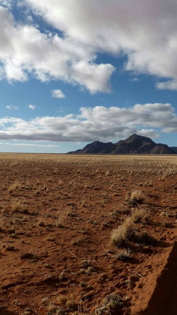 बीघा, एकड़ और बिस्वा में क्या होता है अंतर?
