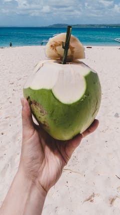 ਕੀ ਠੰਡ 'ਚ ਨਾਰੀਅਲ ਪਾਣੀ ਪੀ ਸਕਦੇ ਹੋ?