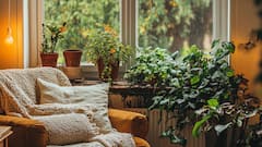 5 Vastu-Friendly Indoor Plants That Attract Prosperity And Positivity