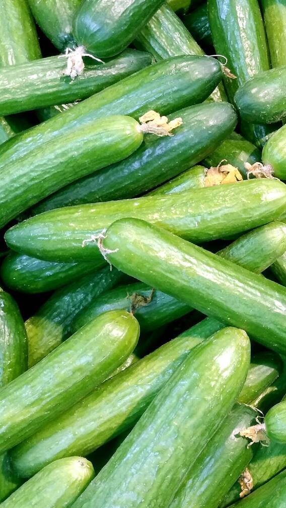 రాత్రుళ్లు కీరదోస తింటున్నారా? అయితే జాగ్రత్త