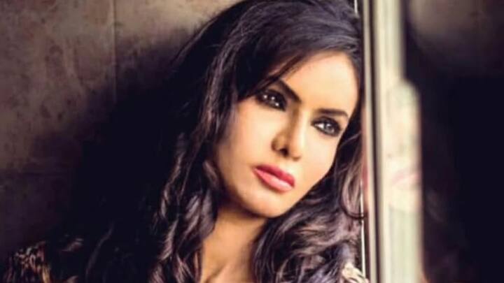 ২০১৭ সালে সৌন্দর্য প্রতিযোগিতায় ‘মিস গুজরাত’ খেতাব পান শায়না। ২০১৮ সালে ‘মিস ইউনাইটেড নেশনস’ নির্বাচিত হন। ২০১৮ সালে ‘দাদাসাহেব ফালকে পুরস্কার’ পান গুজরাতে ১ লক্ষ বৃক্ষরোপণের জন্য। পরিবেশ নিয়ে নিয়মিত কাজ করেন শায়না।