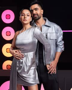 Shehnaaz Gill Stuns In Metallic Silver Dress, See Pics