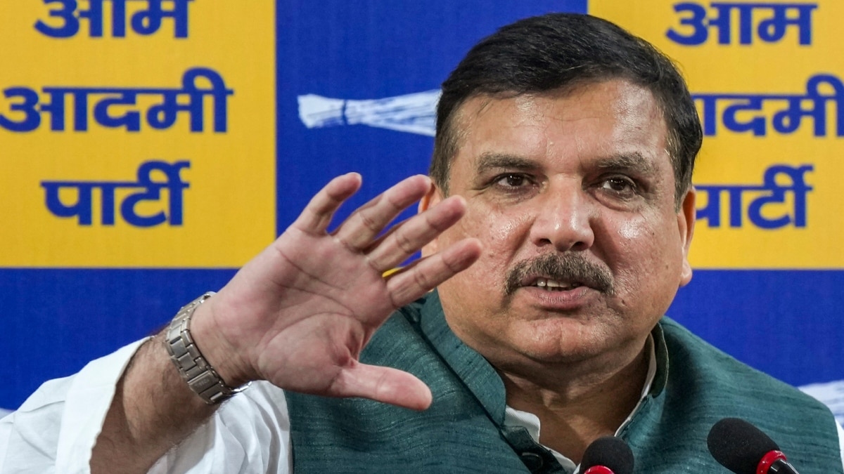 संजय सिंह का भारत-पाकिस्तान सीजफायर को लेकर बड़ा दावा, ‘अगर भारतीय सेना को नहीं रोका होता तो…’