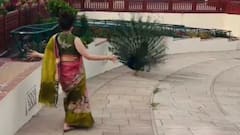 सीजफायर के बीच कंगना रनौत का पाकिस्तानी गाने पर डांस Video Viral, लोगों ने जमकर किया ट्रोल