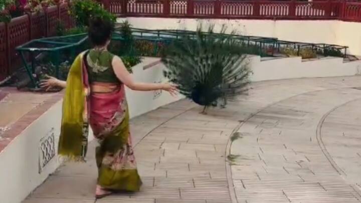 Kangana Ranaut: बॉलीवुड की चर्चित फिल्म एक्ट्रेस और बीजेपी सांसद कंगना रनौत का पाकिस्तानी गाने पर एक वीडियो सोशल मीडिया पर वायरल हो रहा है. इस वीडियो के लिए उन्हें ट्रोल किया जा रहा है.