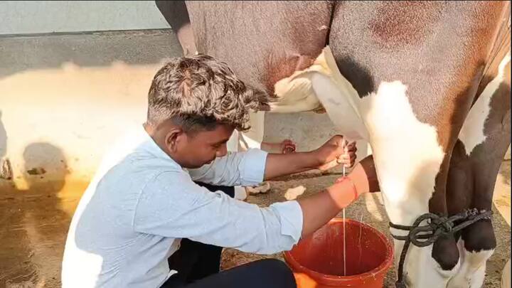 आज विशाल पास झाल्याने त्याच्या गोठ्यातल्या कपिला गायीने देखील बादली भरून दूध दिल्याचे शेजारी सांगत होते.