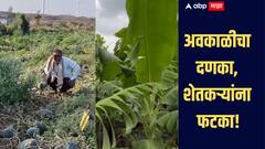 अवकाळीचा दणका, शेतकऱ्यांना फटका! 'या' जिल्ह्यातील शेती पिकांचं मोठं नुकसान, भरपाई देण्याची सरकारकडे मागणी  