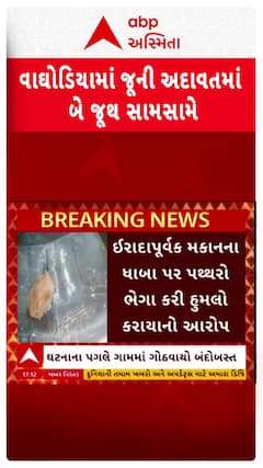 Vadodara News: વાઘોડિયાના ચિપટમાં જૂની અદાવતે બે જૂથ સામસામે