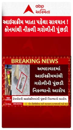 Have more Ice-cream : આઇસક્રીમ ખાતા પહેલા સાવધાન ! હેવમોર આઇસક્રીમમાંથી નીકળી ગરોળીની પૂંછડી