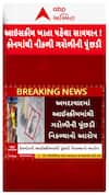 Have more Ice-cream : આઇસક્રીમ ખાતા પહેલા સાવધાન ! હેવમોર આઇસક્રીમમાંથી નીકળી ગરોળીની પૂંછડી
