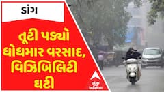 Gujarat Rain: ડાંગ જિલ્લામાં તૂટી પડ્યો ધોધમાર વરસાદ,ગાઢ ધુમ્મસને કારણે ઘટી વિઝીબિલીટી Watch Video