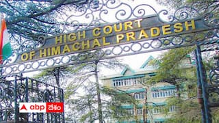 Viral News: భార్యతో అలా చేయడం నేరమే - హిమాచల్ ప్రదేశ్ హైకోర్టు సంచలన తీర్పు