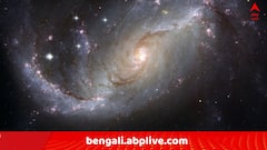 Daily Astrology: আগামীকালটা আপনার আজীবন মনে থাকবে ! কর্মজীবনে যে কত বড় পরিবর্তন আসবে এই রাশির জাতকদের, রাত পেরোলেই বুঝবেন..
