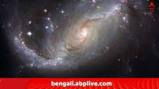 Daily Astrology: আগামীকালটা আপনার আজীবন মনে থাকবে ! কর্মজীবনে যে কত বড় পরিবর্তন আসবে এই রাশির জাতকদের, রাত পেরোলেই বুঝবেন..