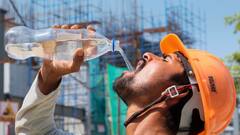 यूपी में प्रचंड गर्मी का दौर शुरू, गोरखपुर-बस्ती समेत 15 जिलों में हीट वेव का अलर्ट, IMD ने दी चेतावनी