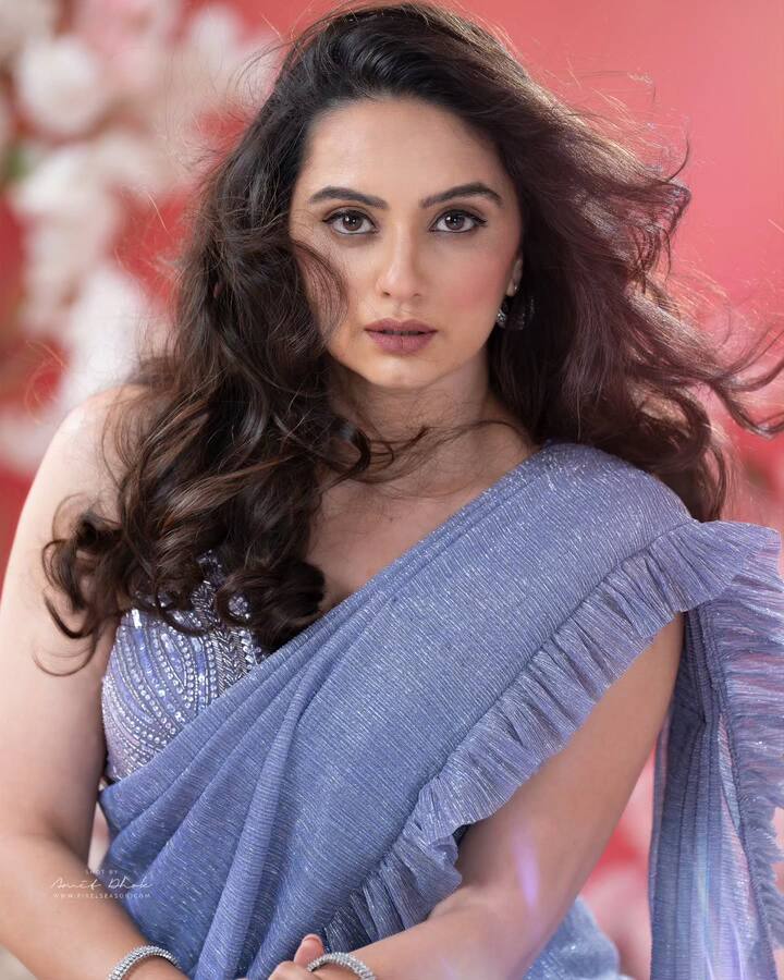 श्रुतीने तिचे साडीमधले काही फोटो शेअर केले आहेत.