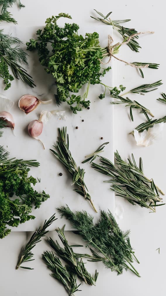 வீட்டில் வளர்க்கக்கூடிய 9 மூலிகை செடிகள்